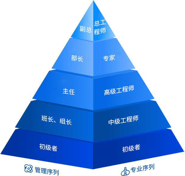 乐虎lehu之星